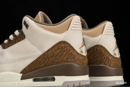 Jordan Air 3 CT8532-102 "Palomino" 1019
